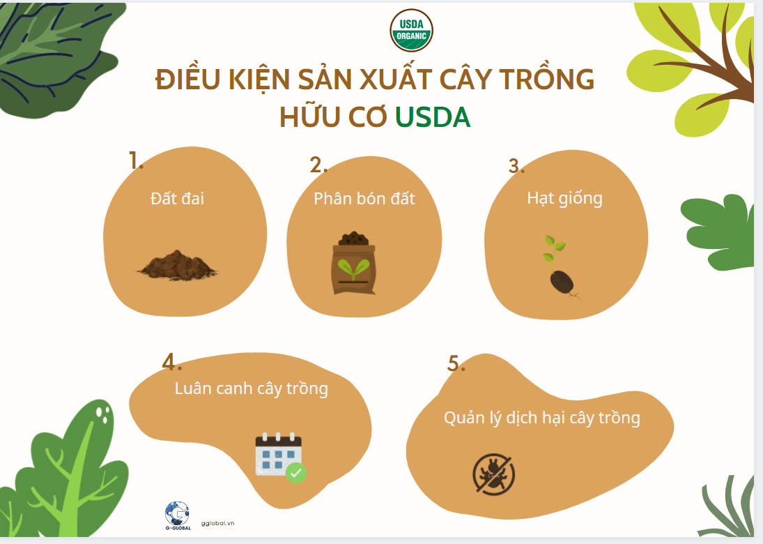 5 điều kiện sản xuất cây trồng hữu cơ USDA