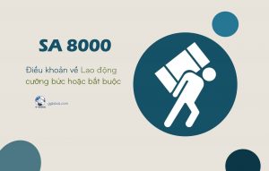 Tiêu chuẩn SA 8000: Điều khoản về Lao động cưỡng bức hoặc bắt buộc