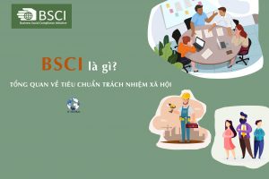 Tiêu chuẩn BSCI là gì? Tổng quan về tiêu chuẩn trách nhiệm xã hội