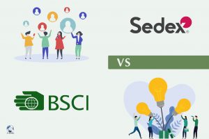 So sánh SEDEX và BSCI: Tiêu chuẩn về tuân thủ trách nhiệm xã hội