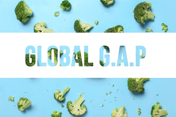 Global GAP là gì
