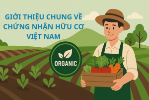Hiểu Rõ Về Chứng Nhận Hữu Cơ Việt Nam – Quy Trình & Tầm Quan Trọng