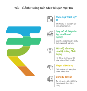 Báo Giá Dịch Vụ FDA Trọn Gói (2025) và Chi Phí Đăng Ký Lưu Hành Thiết Bị Y Tế