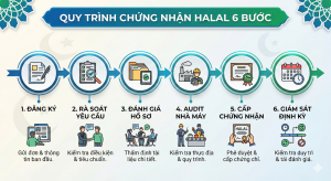 Chứng nhận Halal là gì? Hướng dẫn doanh nghiệp xin chứng chỉ Halal từ A–Z