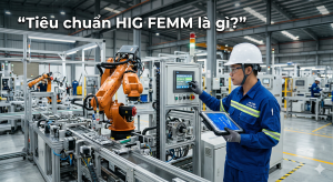 Tiêu chuẩn HIG FEMM là gì? Hướng dẫn áp dụng & giải pháp triển khai hiệu quả cho doanh nghiệp