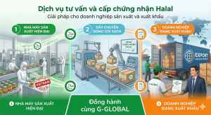 Dịch vụ tư vấn và cấp chứng nhận Halal: Giải pháp giúp doanh nghiệp mở rộng thị trường xuất khẩu hiệu quả