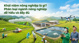 Khái niệm nông nghiệp là gì? Phân loại ngành nông nghiệp dễ hiểu và đầy đủ